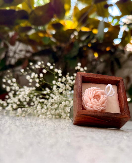 Boxed Beauty