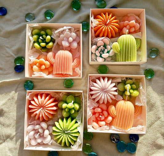 Succulent Surprise Gift Set