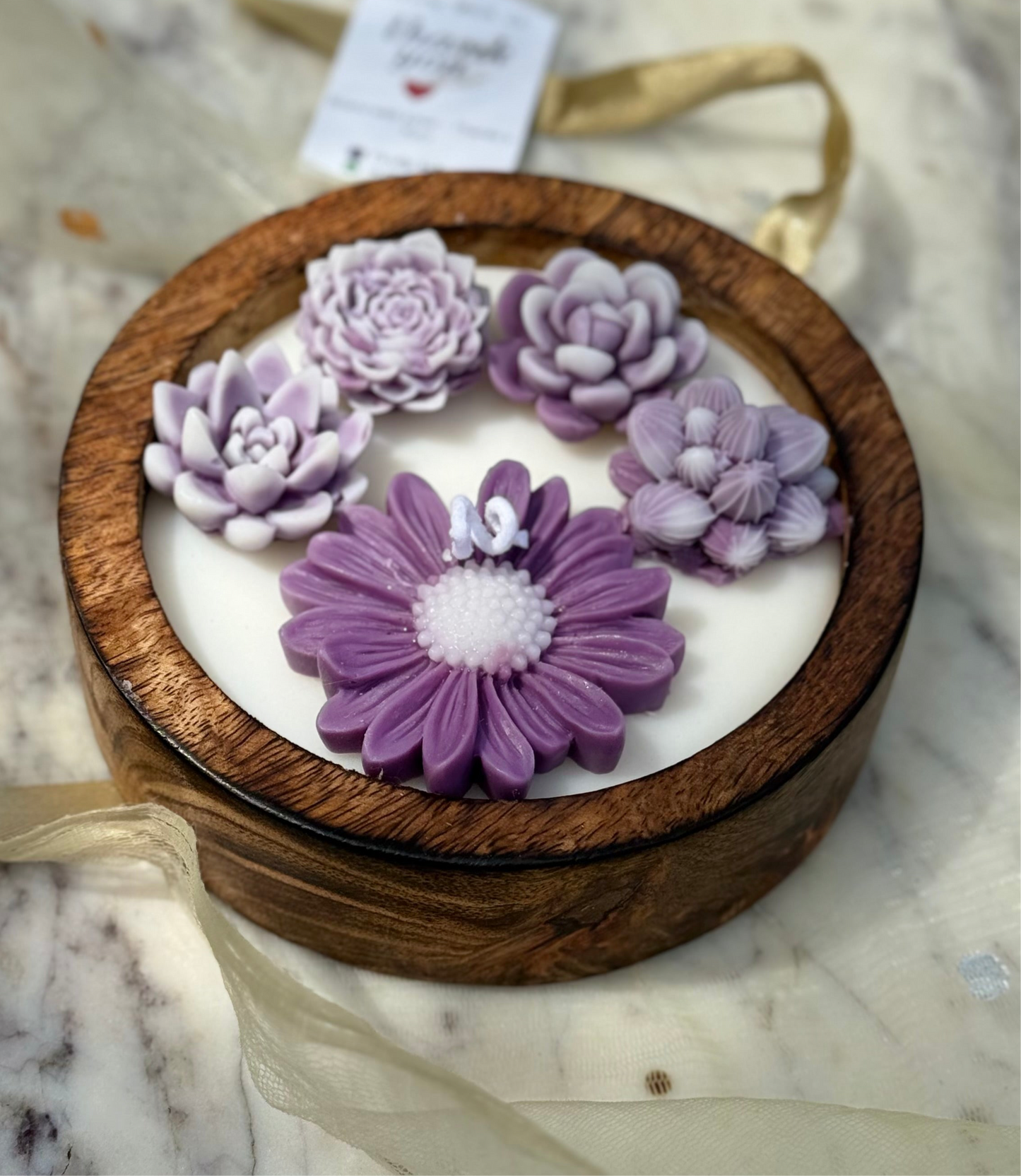 Mighnight Bloom
